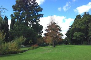 Burnley Gardens Walk