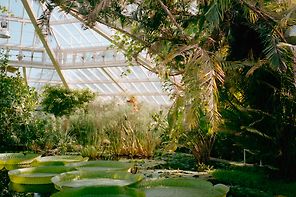 Darwin Botanic Gardens
