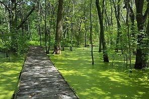 Shirley Heinze Land Trust