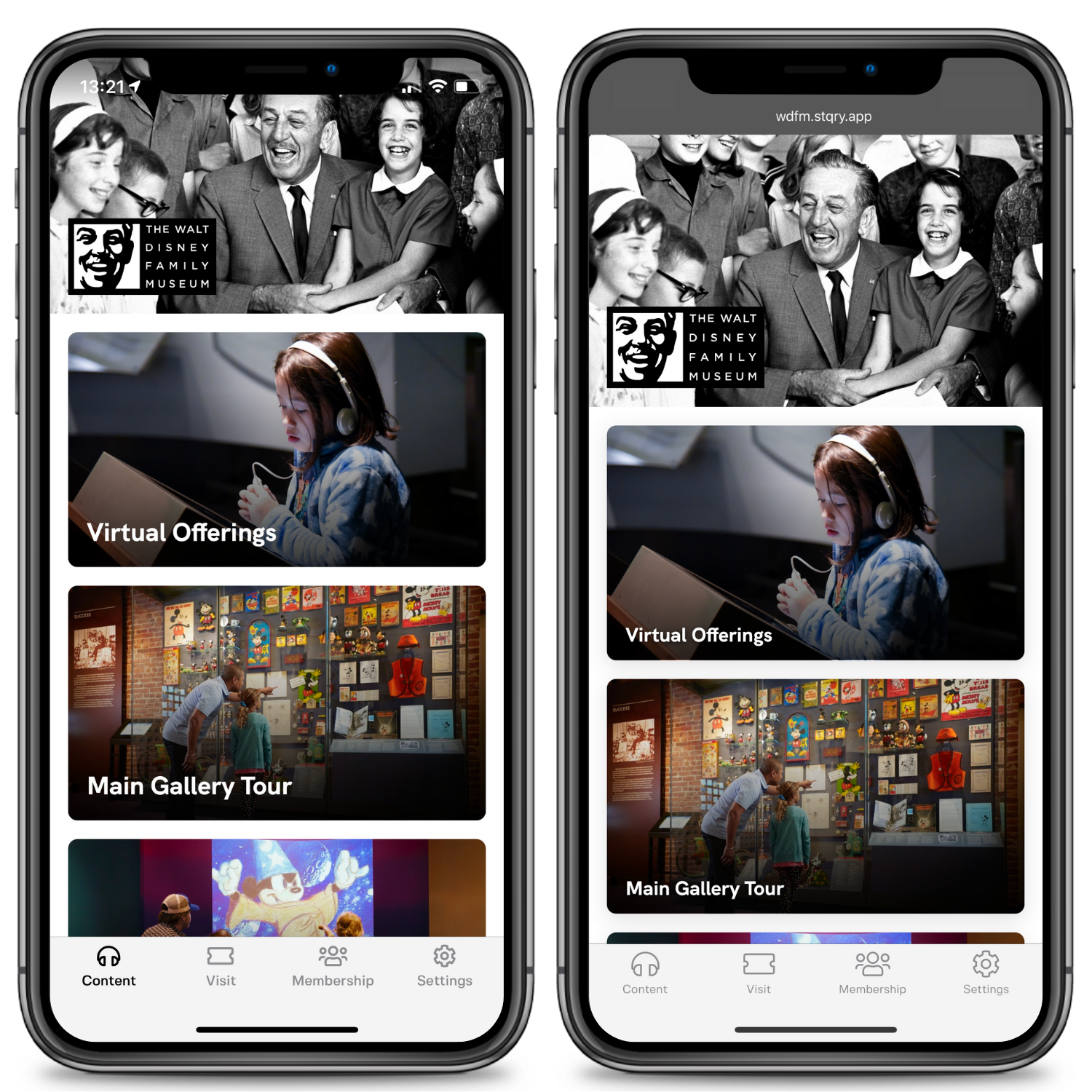 Native App Versus Web App: Which Is Right for Your Mobile Guide?